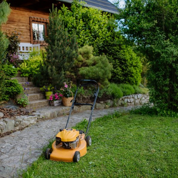 Lawn mower in the garden, garden work concept.